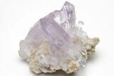 Amethyst Crystal Cluster - Las Vigas, Mexico #204519-1